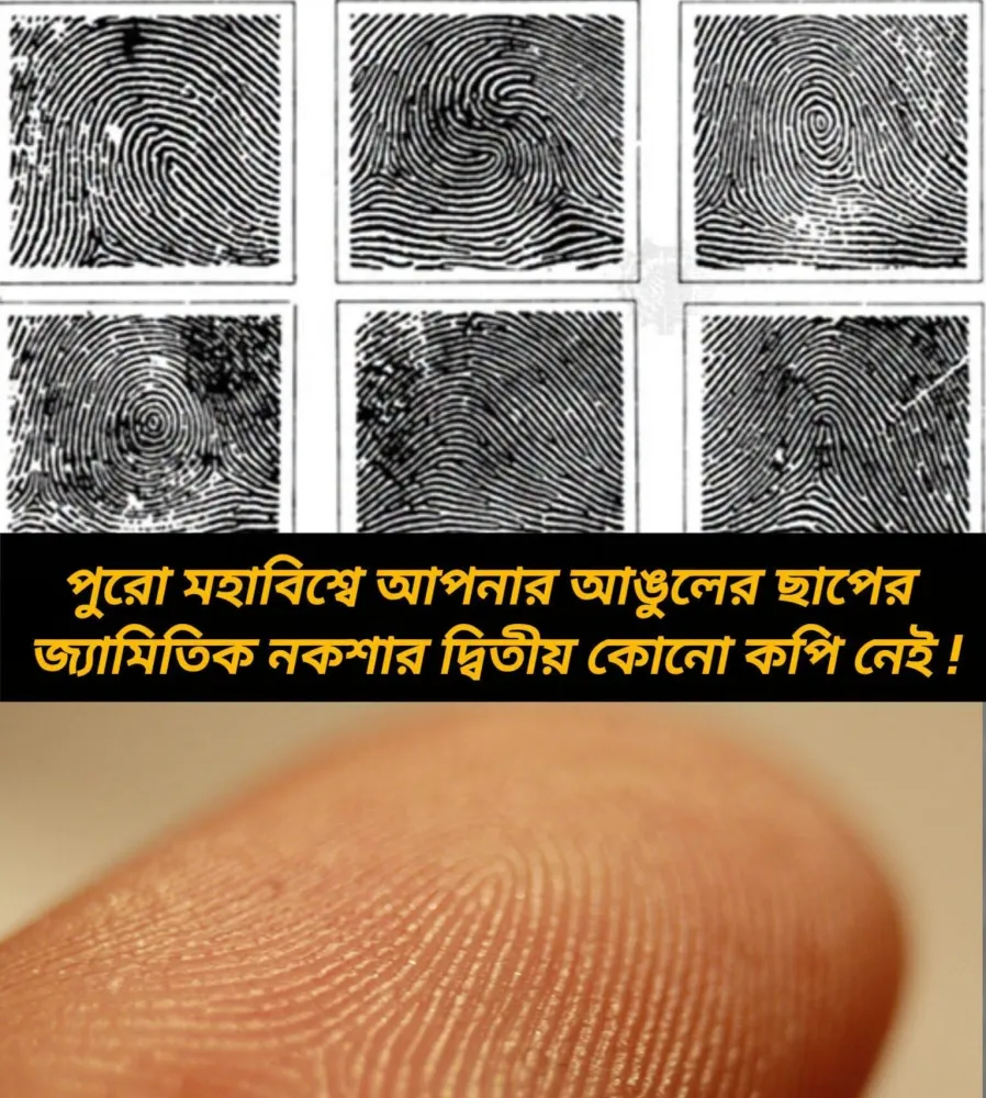 আপনার আঙুলের ছাপ