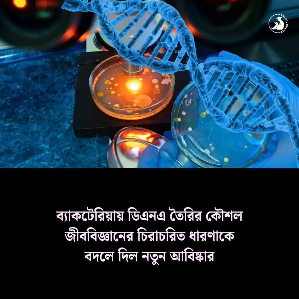ব্যাকটেরিয়ায় ডি এন এ