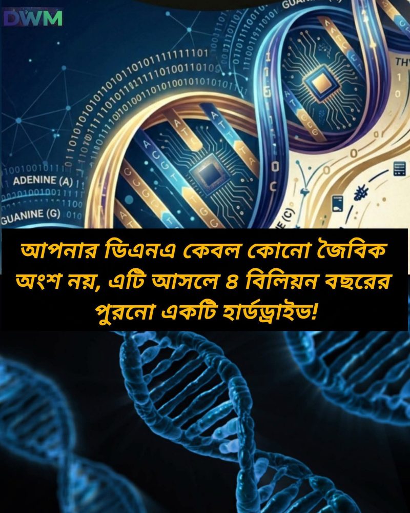 ডিএনএ