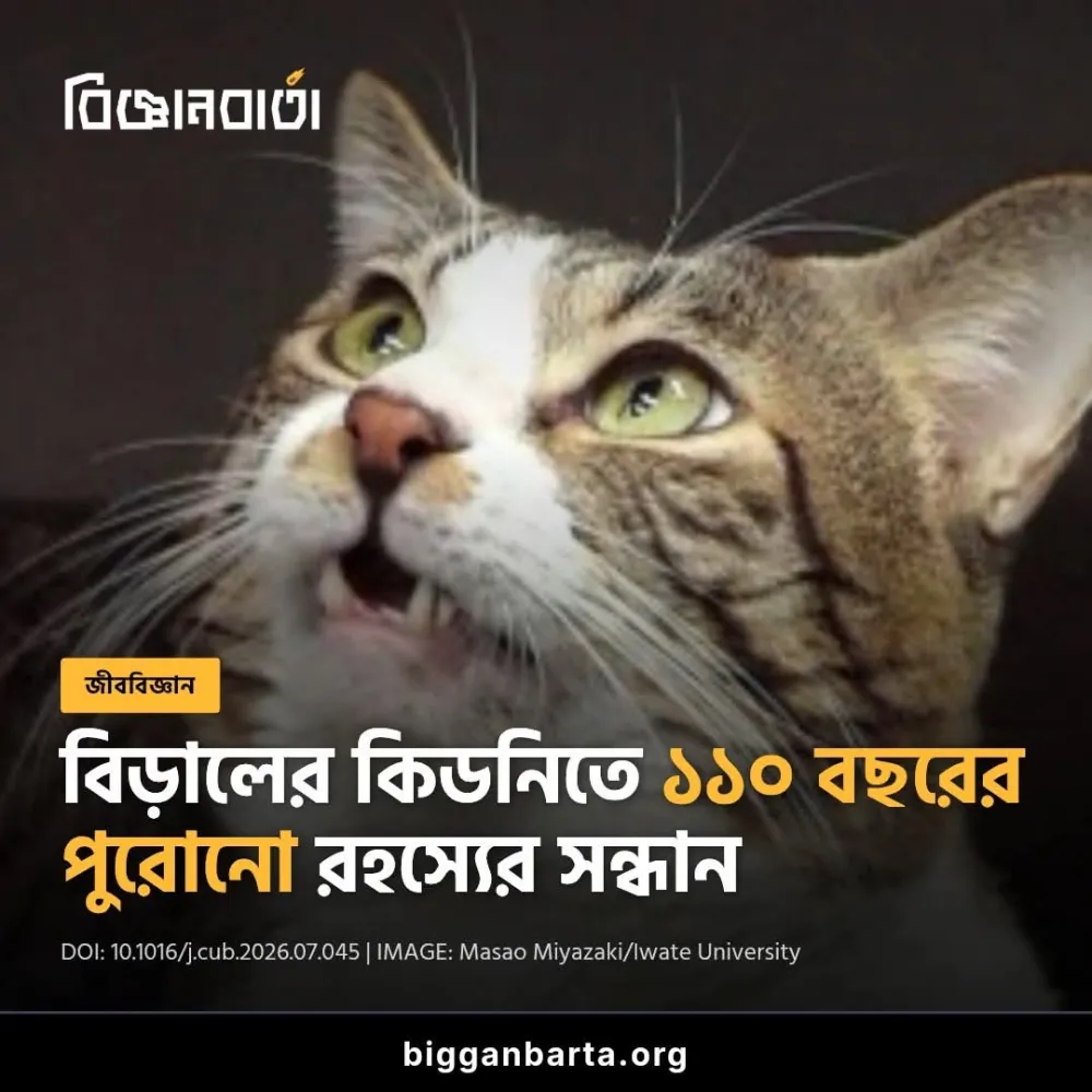প্রায় ১১০ বছর এর পুরোনো রহস্য