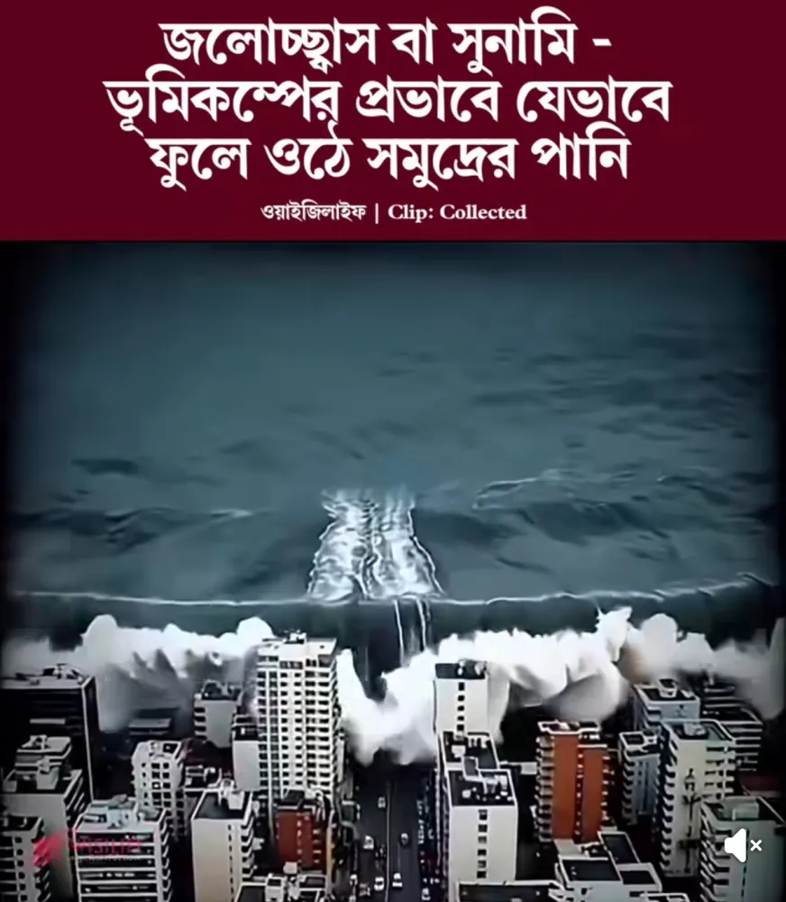 জলোচ্ছ্বাস বা সুনামি