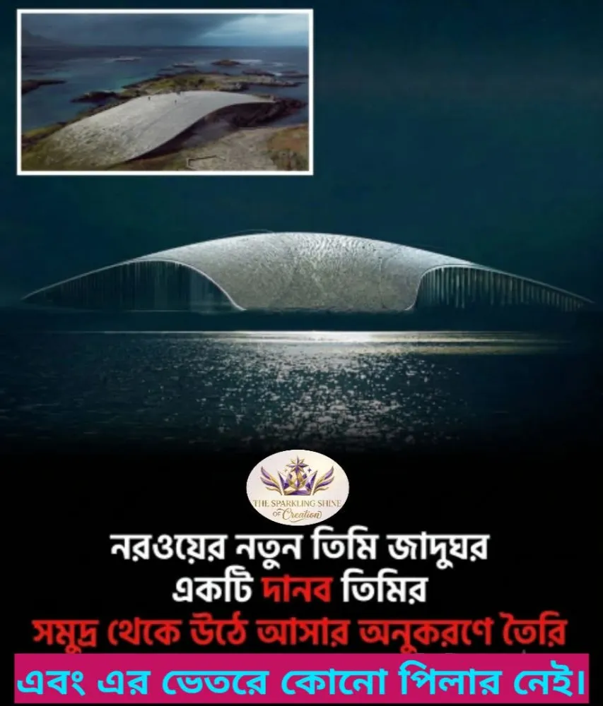 তিমি যাদুঘর