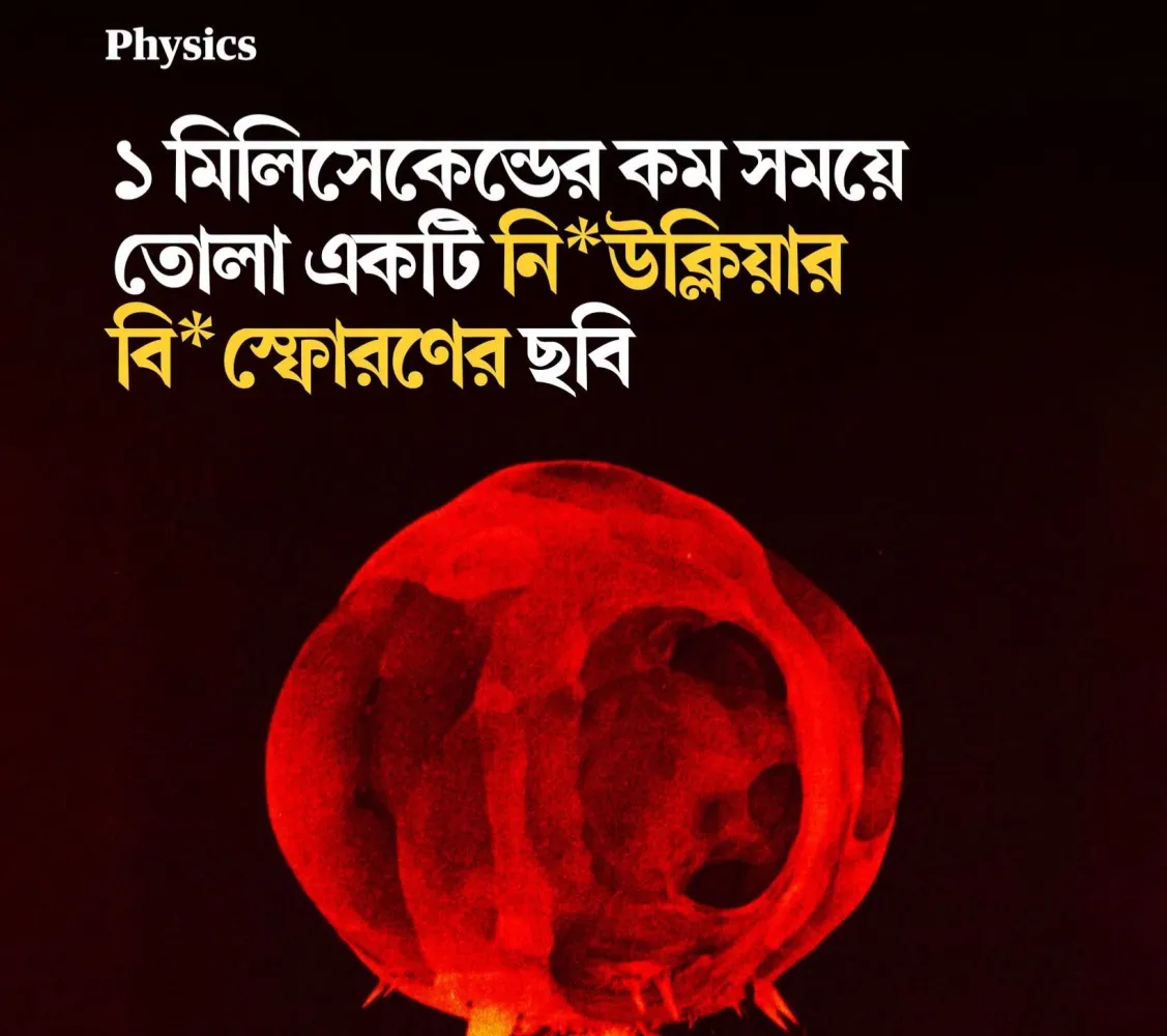 ভয়ংকর সুন্দর