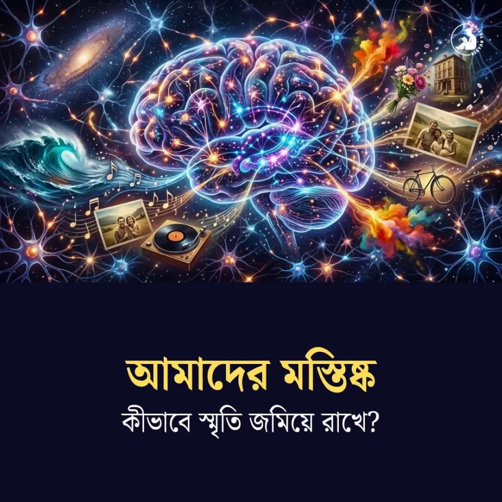 আমাদের মস্তিষ্ক, কি ভাবে স্মৃতি জমিয়ে রাখে